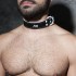 ADF44 LEATHER COLLAR