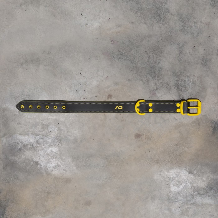 ADF44 LEATHER COLLAR
