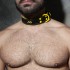 ADF44 LEATHER COLLAR