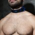ADF44 LEATHER COLLAR