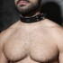 ADF44 LEATHER COLLAR
