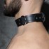 ADF44 LEATHER COLLAR