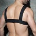 ADF116 DOUBLE RING HARNESS
