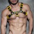 ADF119 LEATHER COLOR HARNESS
