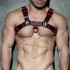 ADF119 LEATHER COLOR HARNESS