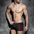 COMBI MESH SHORTS