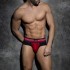 DOUBLE STRIPE BRIEF
